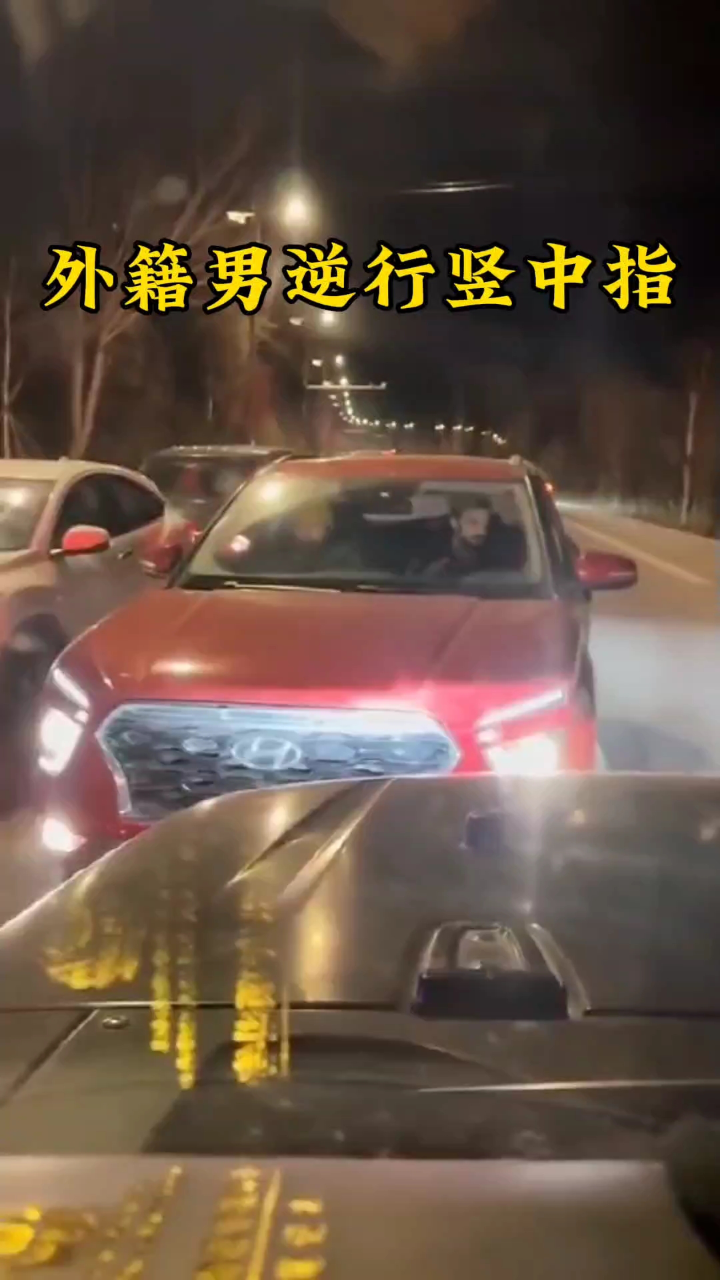 洋人开车逆行还竖中指,副驾还坐着个亚裔女性,这差劲素质谁惯的#外国