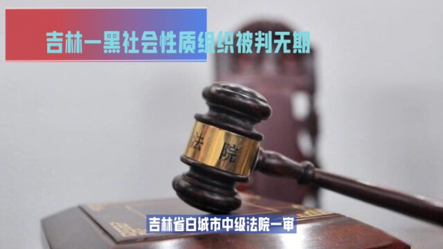 吉林涉黑性质组织被判无期