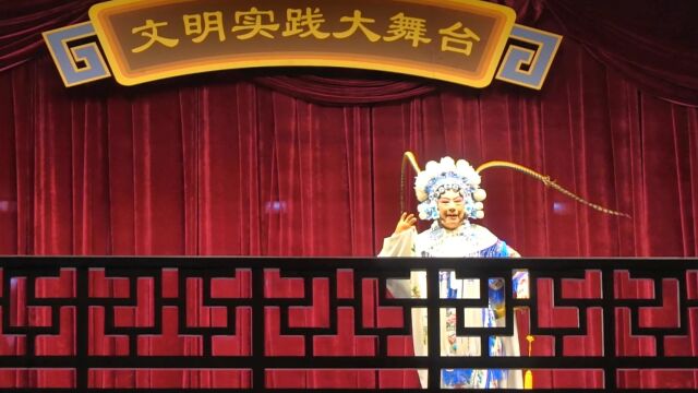 扬剧 百岁挂帅 登高丘 表演:李学凤