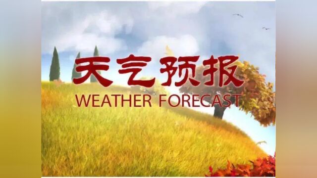 全国最新天气预报11.19