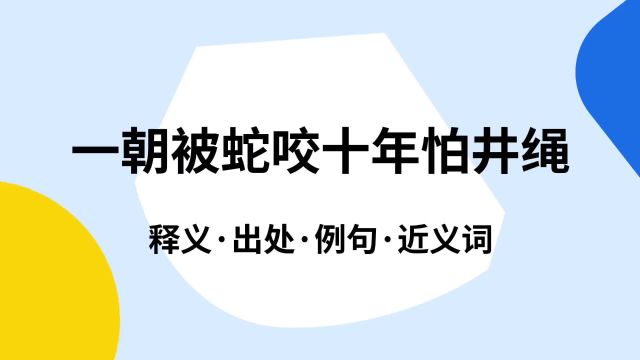 “一朝被蛇咬十年怕井绳”是什么意思?