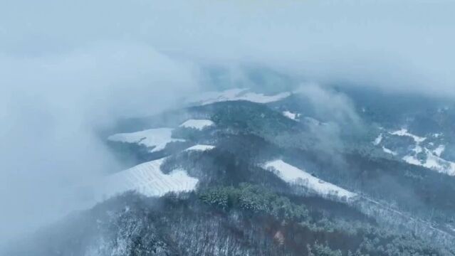 长春双阳:冬日群鹤排云上 雪景诗情到碧霄