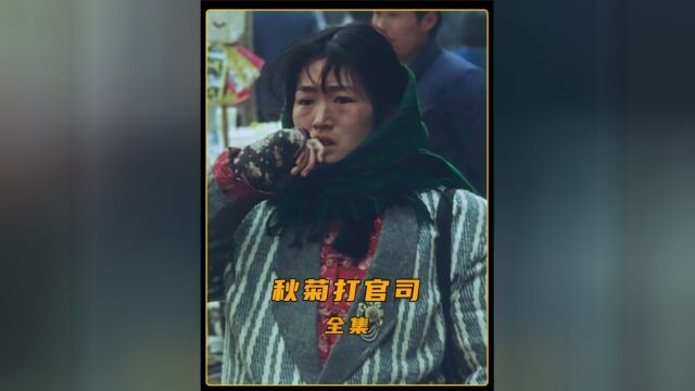 村长踢伤丈夫拒不道歉,妻子一怒把局长告上了法庭《秋菊打官司》1