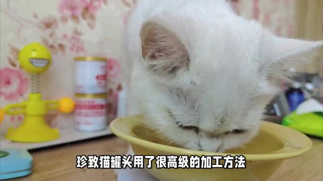 珍致猫罐头怎么样?猫咪喜欢吃的猫罐头推荐