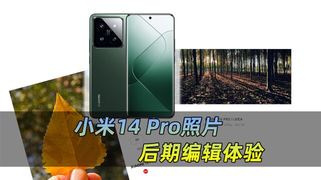 拍完照,还有不少玩法:小米14 Pro照片后期优化心得