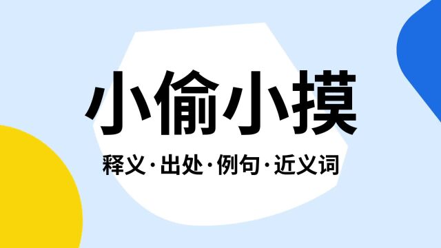 “小偷小摸”是什么意思?