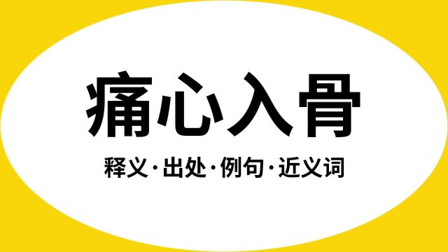 “痛心入骨”是什么意思?