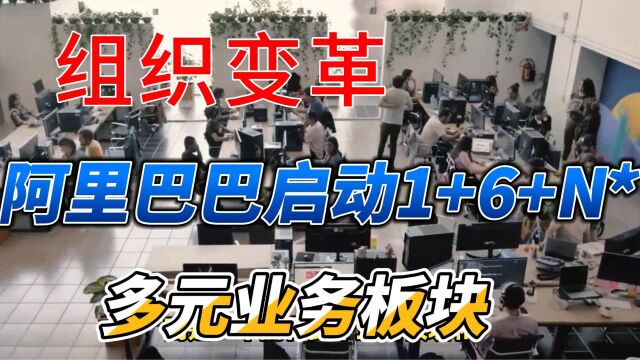 阿里巴巴启动1+6+N组织变革,集团拥抱多元业务板块