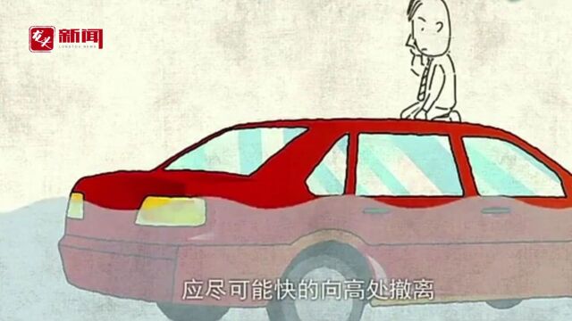 防汛科普|划重点!教你如何安全度汛