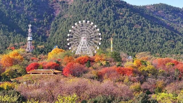 深秋的相山,就像大自然的调色板... #航拍淮北 #最美秋天