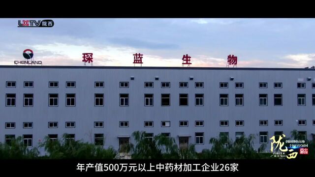 创新创业高地 幸福宜居家园——甘肃省陇西高新技术产业开发区