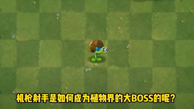 机枪射手的往事——机枪射手是如何成为植物界的大BOSS的呢?