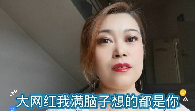 大网红 我满脑子想的都是你