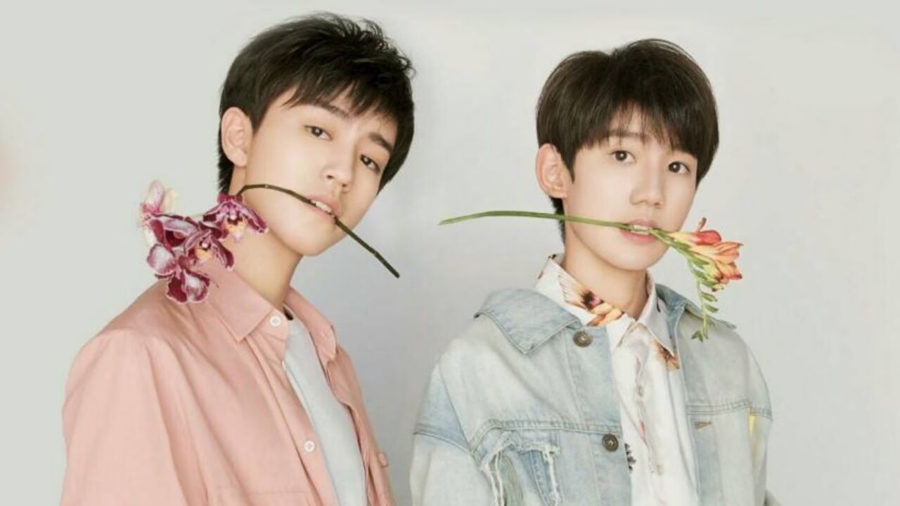 王俊凯王源粉丝线下打架,西安警方通报:系歌迷为抢占位置所引发