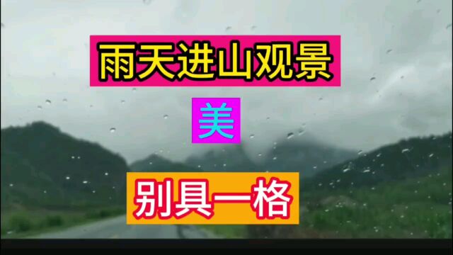 雨天进山,听雨滴敲打车窗之声,赏雨过天晴之美!万物生机盎然