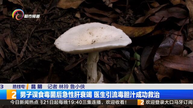 男子误食毒菌后急性肝衰竭 医生引流毒胆汁成功救治