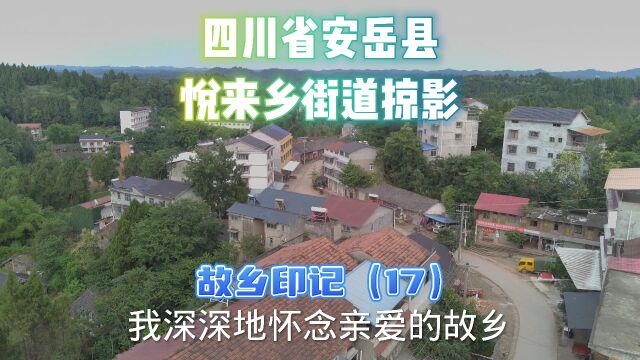 四川省安岳县悦来乡街道怱忙一瞥:故乡印记(17)