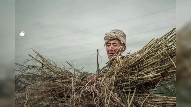 佳作点评 | 定格劳动瞬间,讴歌美好生活