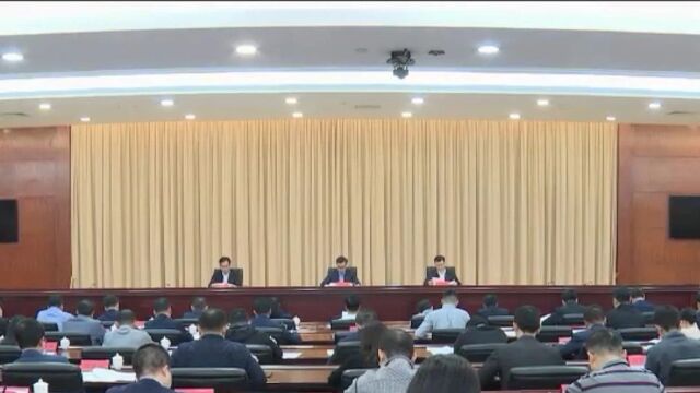 全市党委和政府办公室系统会议召开