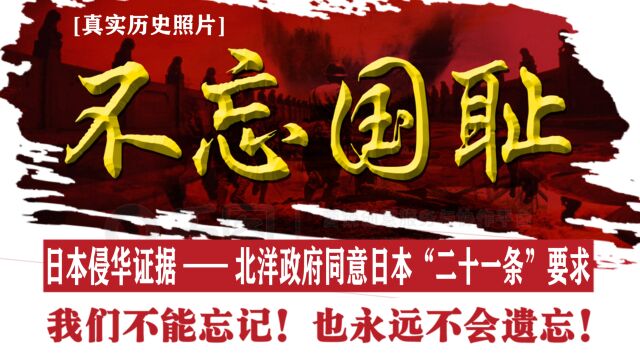 046:日本侵华证据,日军打败德国,北洋政府同意日本“二十一条”要求