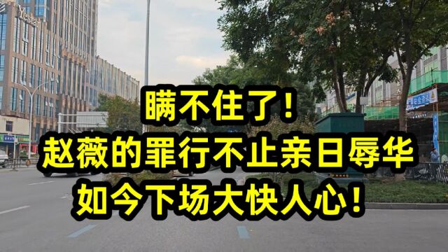 瞒不住了!赵薇的罪行不止亲日辱华,如今下场大快人心!