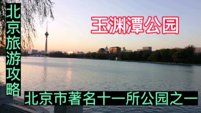 60周岁以上老人门票免费,玉渊潭公园北京市著名十一所公园之