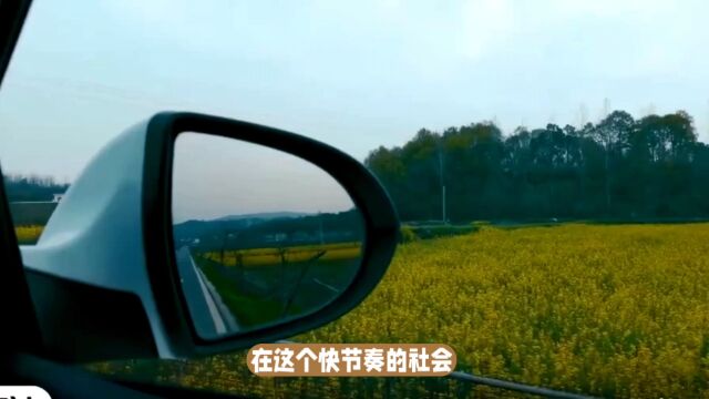 为什么要读书?