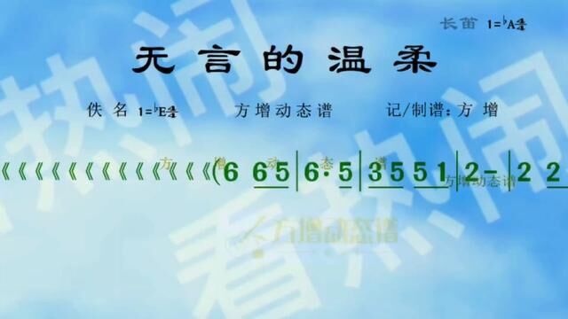 无言的温柔#音乐分享 #动态曲谱 #原声分享