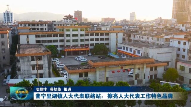 普宁里湖镇人大代表联络站:擦亮人大代表工作特色品牌