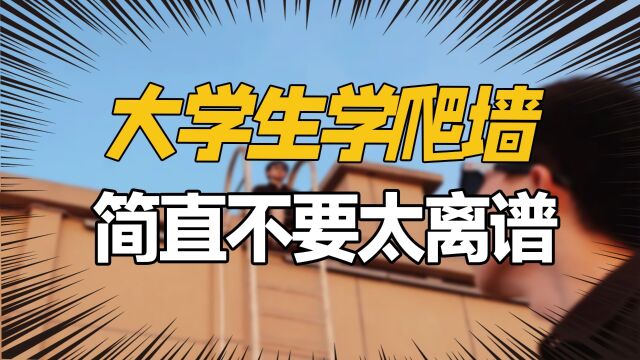 轩妈反家暴第一人,苦学泰拳拿下家暴男,网友:配享太庙!