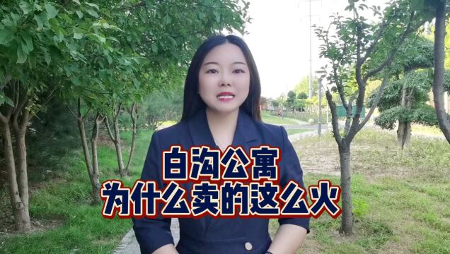 白沟公寓楼盘为什么卖的好价格多少