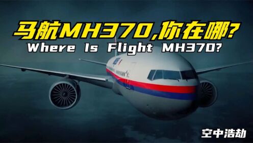 MH370失踪,牵挂了无数人的心,真相会隐藏在这些推测中吗
