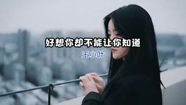 王小叶歌曲欣赏《好想你却不能让你知道》