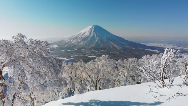 富士山与樱花的邂逅