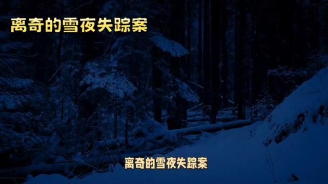 雪夜失踪案重现:艾米丽的神秘归来 #案件故事 #神秘事件 #离奇失踪