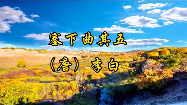 #古诗词#《塞下曲》其五