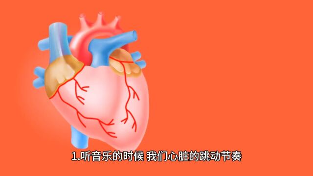 【心跳会音乐节奏跳动】这些冷知识你知道几个?