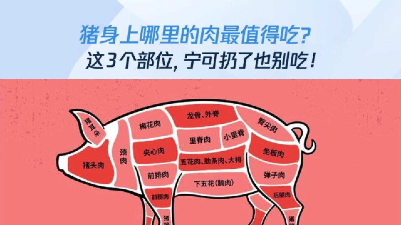 猪身上哪里的肉最值得吃？这3个部位，宁可扔了也别吃！_高清1080P在线观看平台_腾讯视频