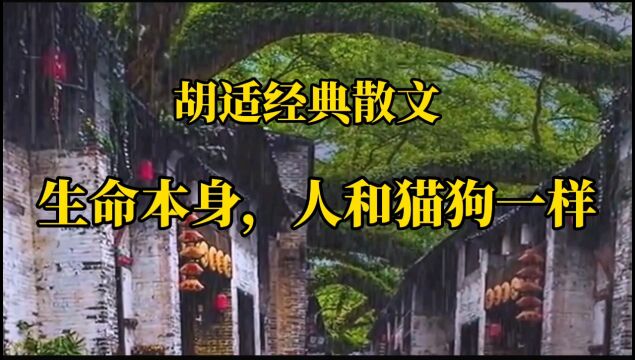 散文朗诵《生命本身,人和猫狗一样》深度好文,值得收藏