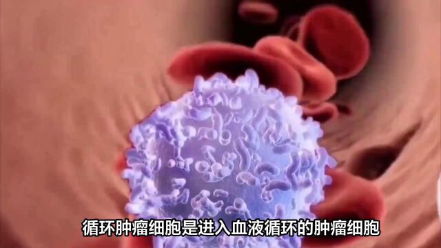 天烁生物丨CTC检测为肿瘤患者开辟一条个体化精准治疗之路