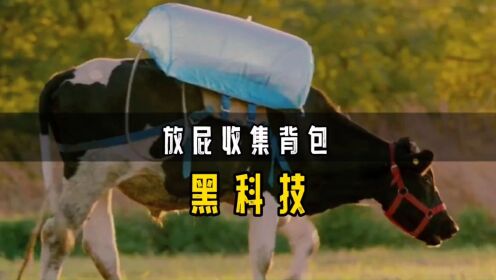 孕龙科技 围着“牛腚”打转，被千万粉丝催更的“龙兽医”