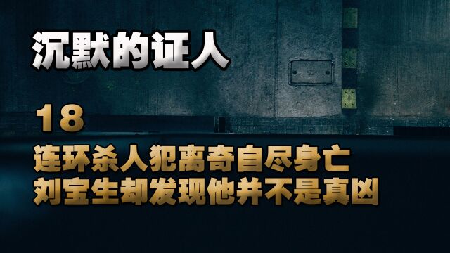 连环杀人犯离奇自尽身亡,刘宝生却发现他并不是真凶