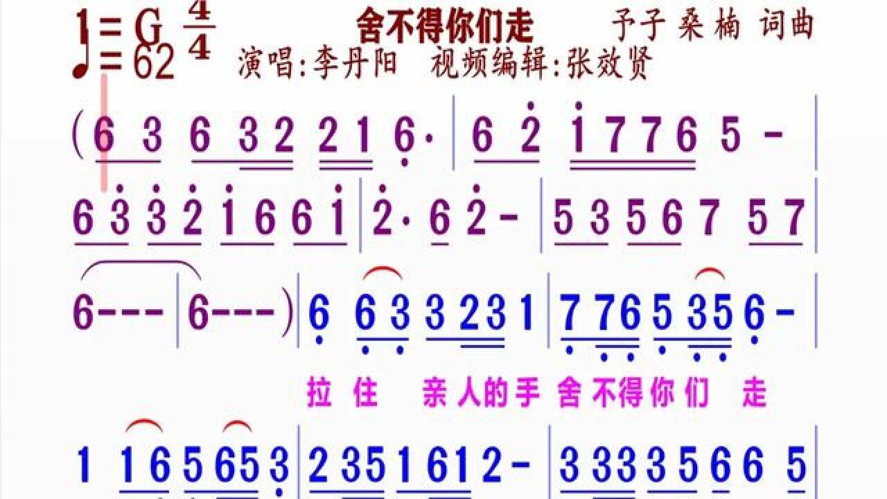 《舍不得你走》简谱李丹阳演唱#动态谱