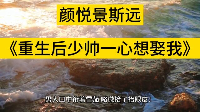 【已完结】《重生后少帅一心想娶我》颜悦景斯远全文txt阅读&无弹窗