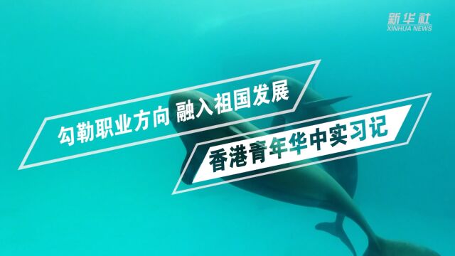 勾勒职业方向 融入祖国发展——香港青年华中实习记