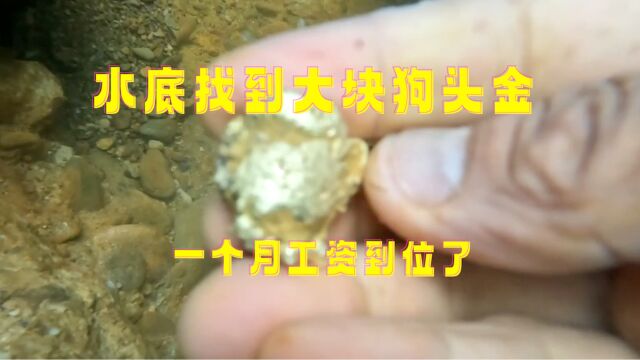 深山小溪里,在水底找到几大块狗头金!全家人一个月收入了