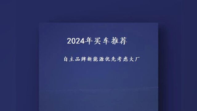 自主品牌新能源优先考虑大厂及其子品牌