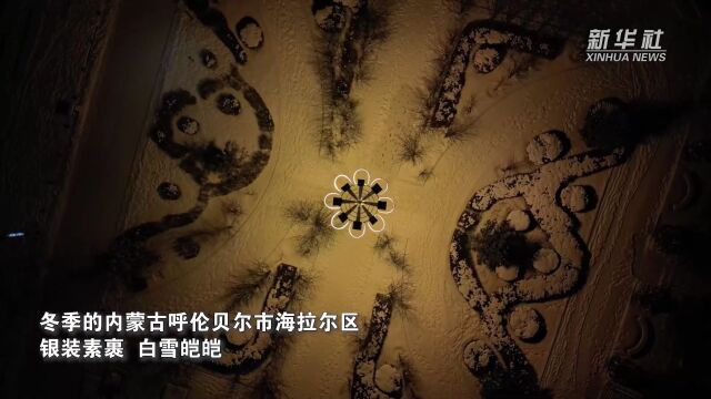 千城胜景|雪后海拉尔夜色动人