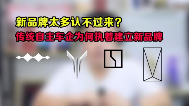 新品牌太多认不过来 传统自主车企为何执着建立新品牌