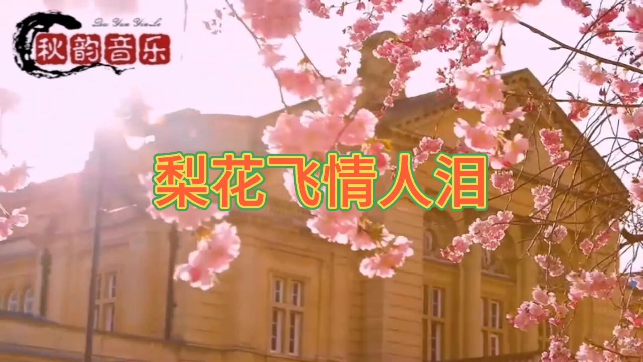 梨花飞情人泪